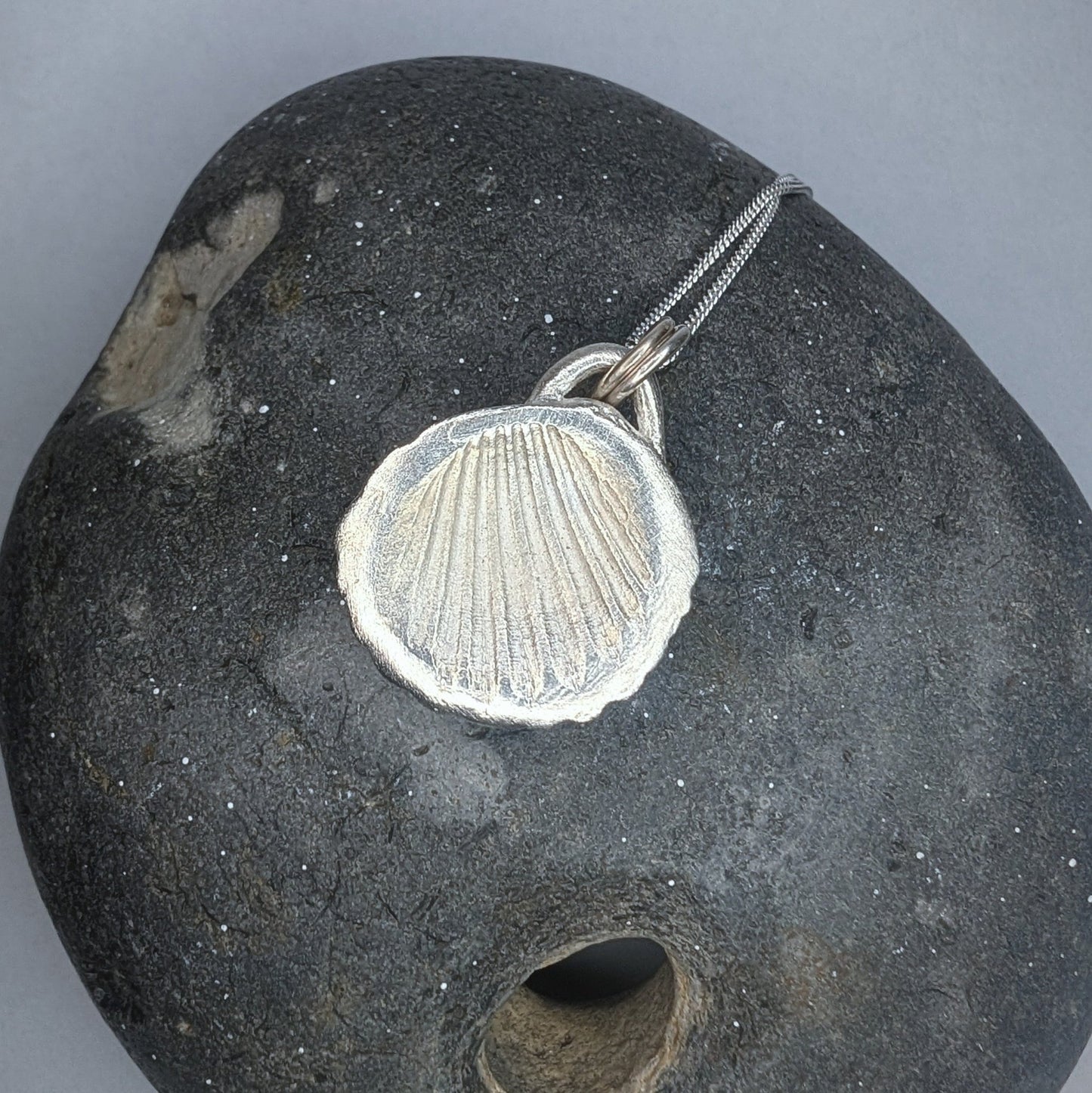 Fine Silver Real Sea Shell Pendant Necklace - Not Lost Jewellery