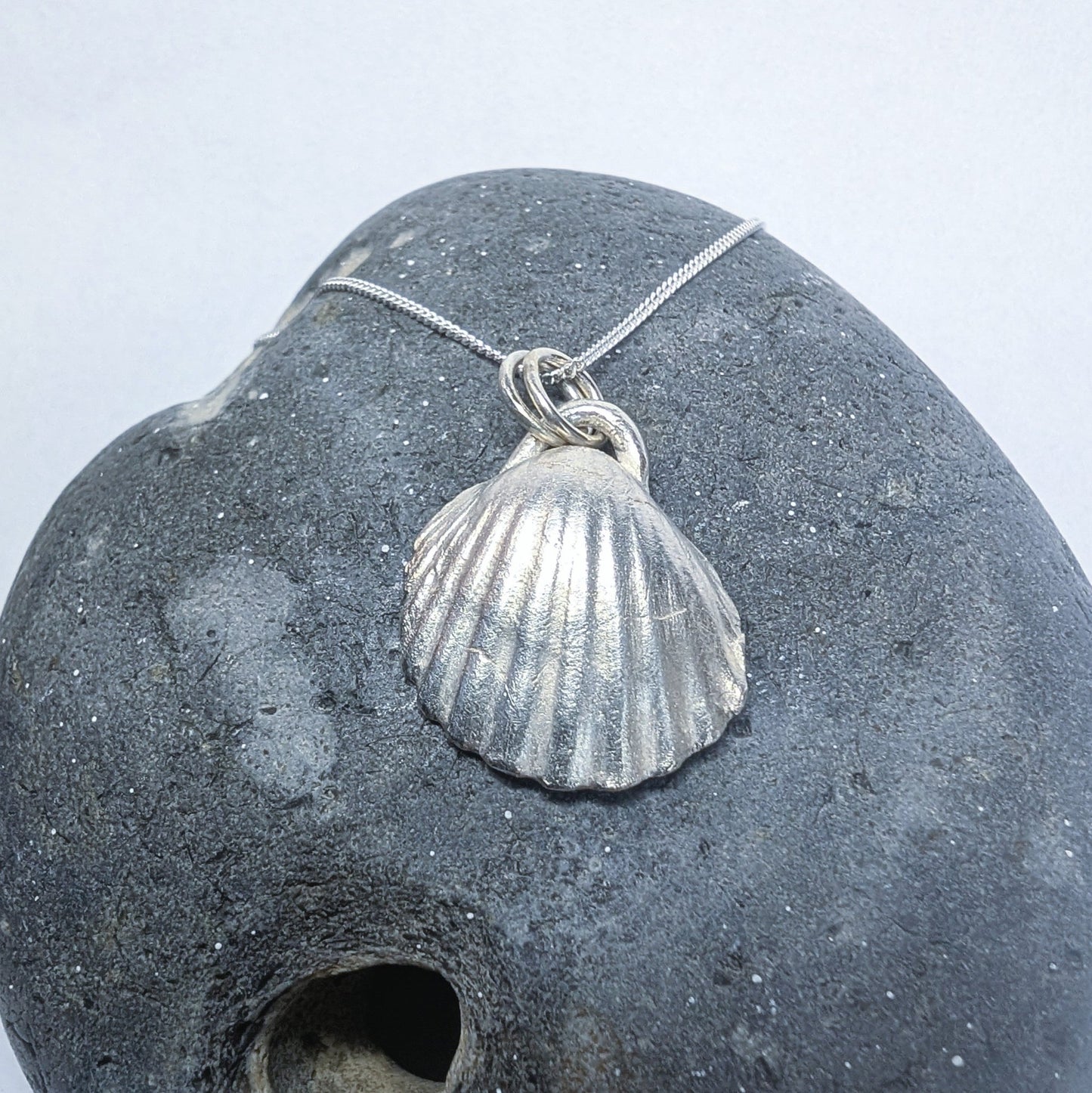 Fine Silver Real Sea Shell Pendant Necklace - Not Lost Jewellery