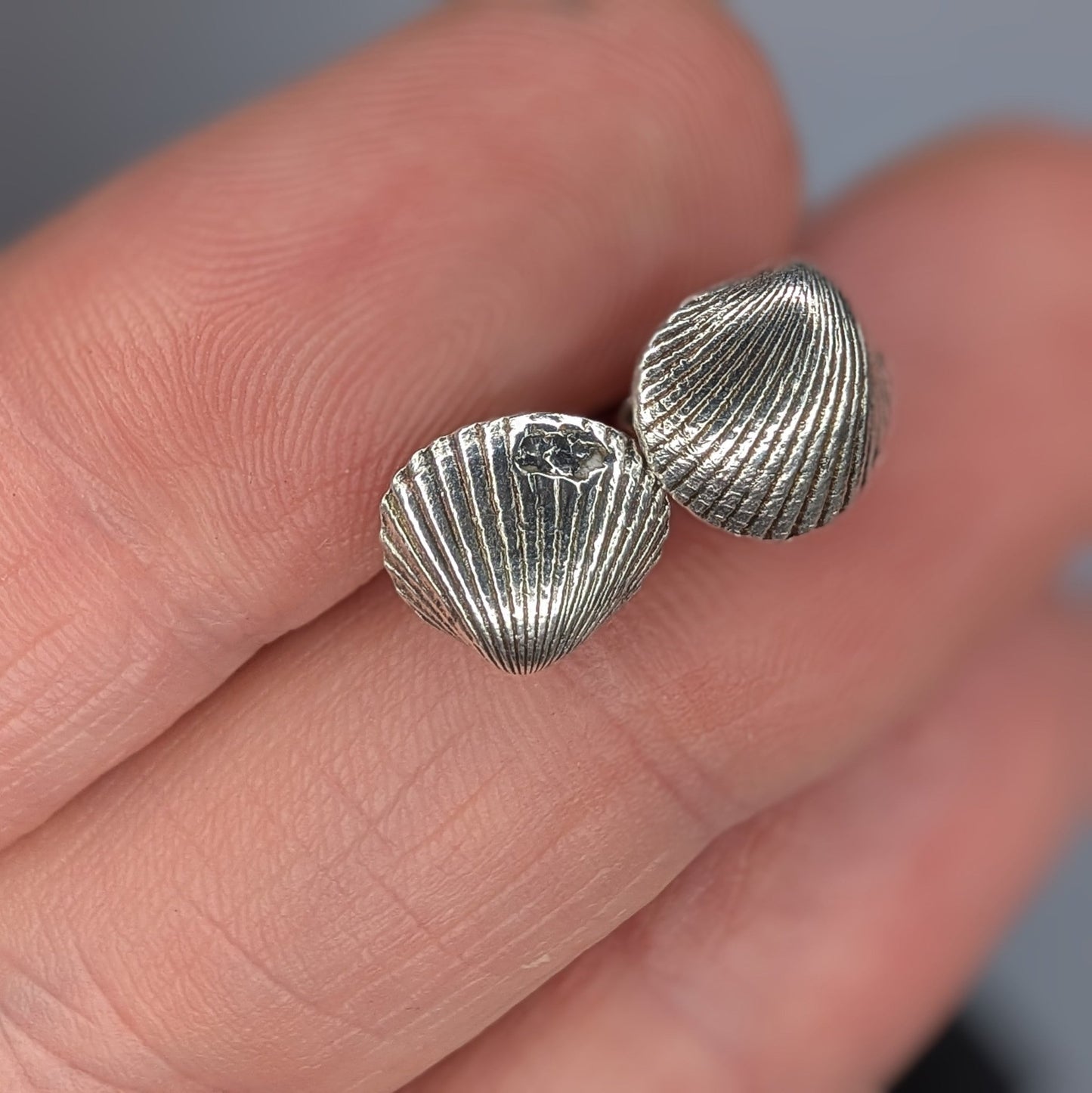 Oxidised Silver Shell Stud Earrings - Not Lost Jewellery