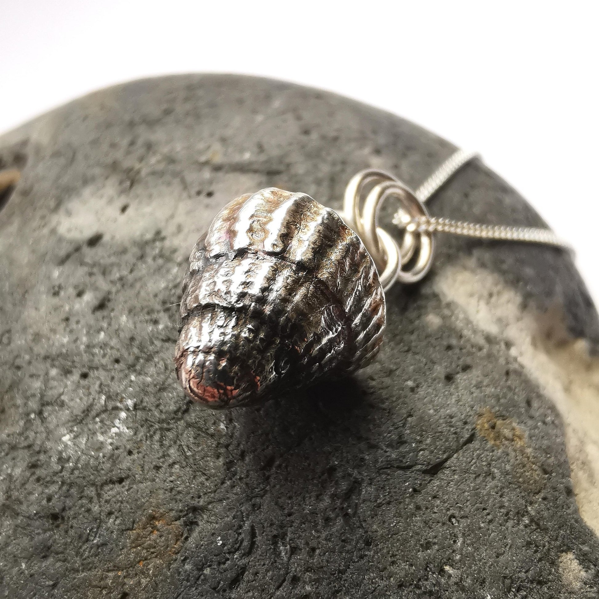 Netted Dog Whelk Shell Pendant Necklace - Not Lost Jewellery