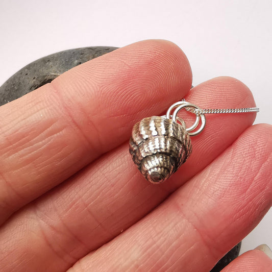 Netted Dog Whelk Shell Pendant Necklace - Not Lost Jewellery