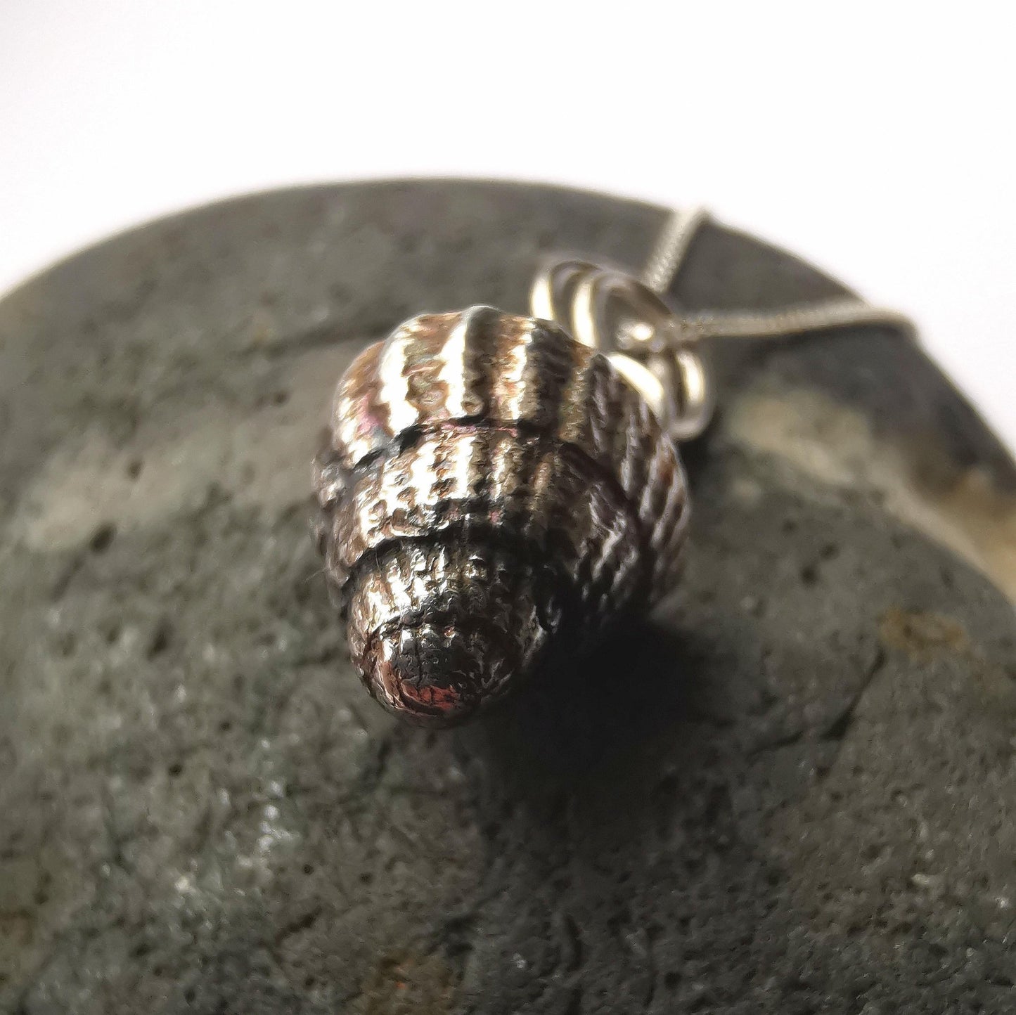 Netted Dog Whelk Shell Pendant Necklace - Not Lost Jewellery