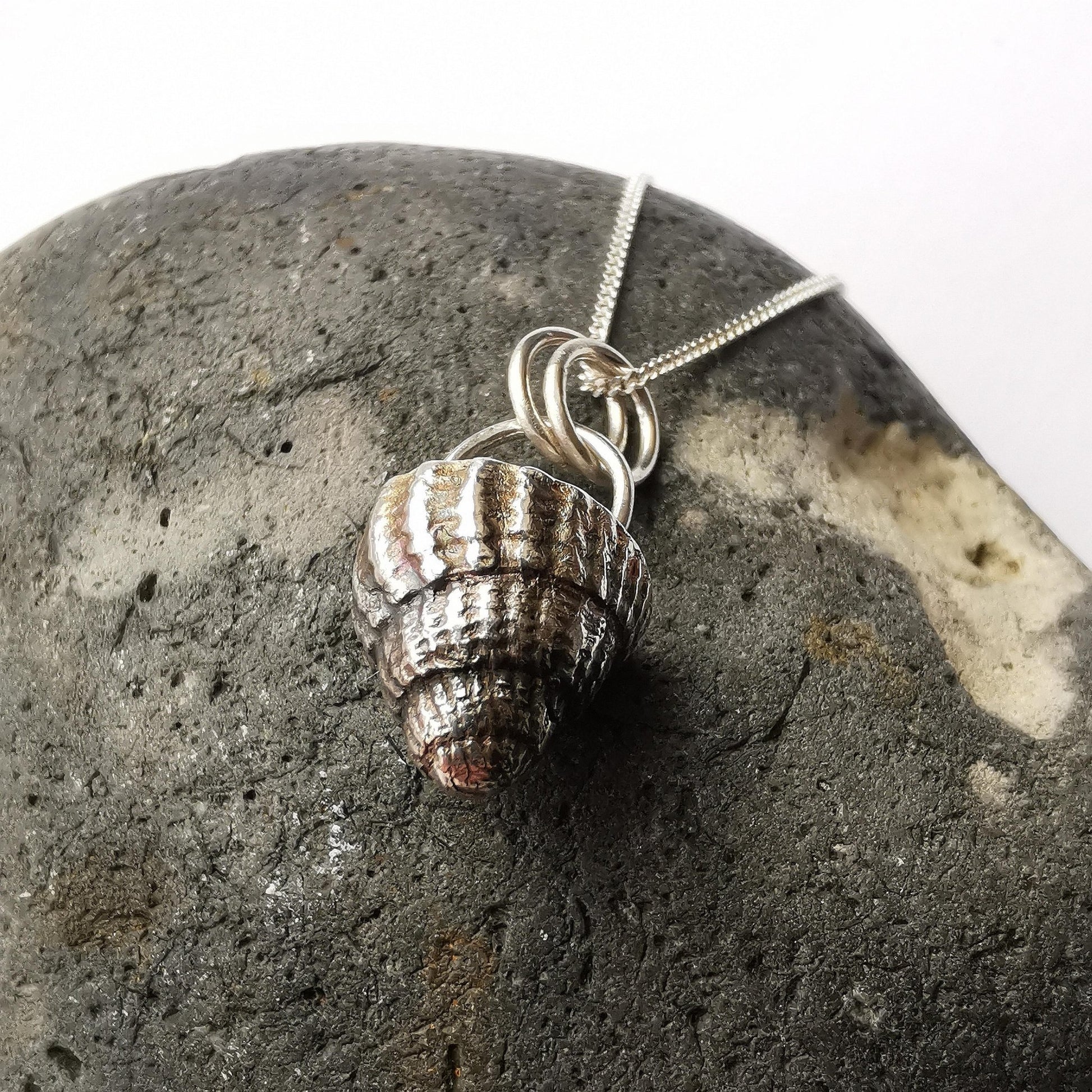 Netted Dog Whelk Shell Pendant Necklace - Not Lost Jewellery