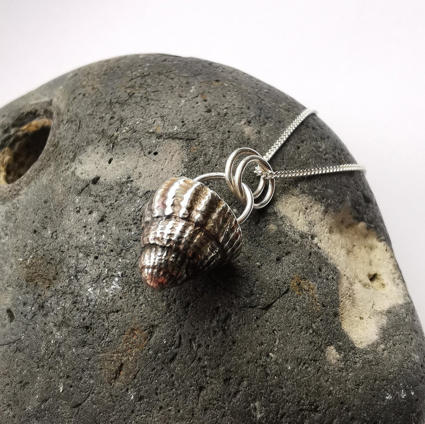 Netted Dog Whelk Shell Pendant Necklace - Not Lost Jewellery