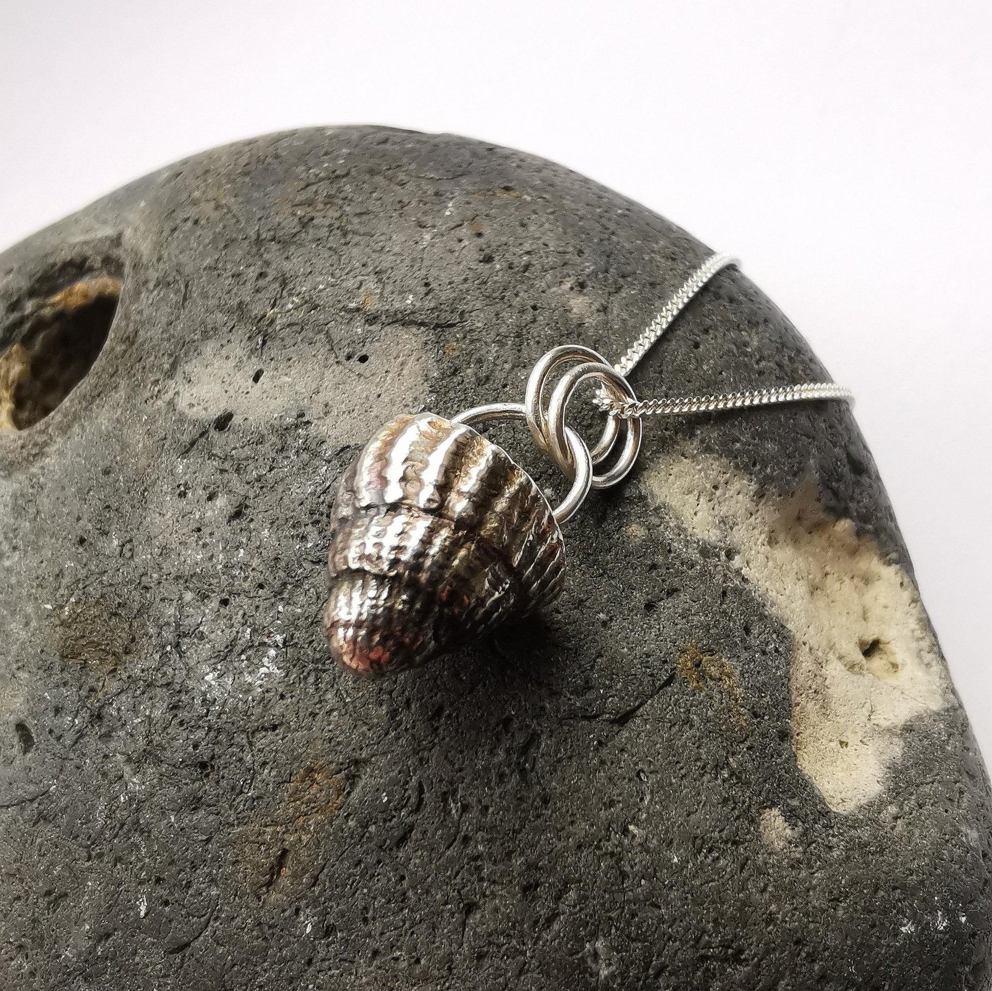 Netted Dog Whelk Shell Pendant Necklace - Not Lost Jewellery