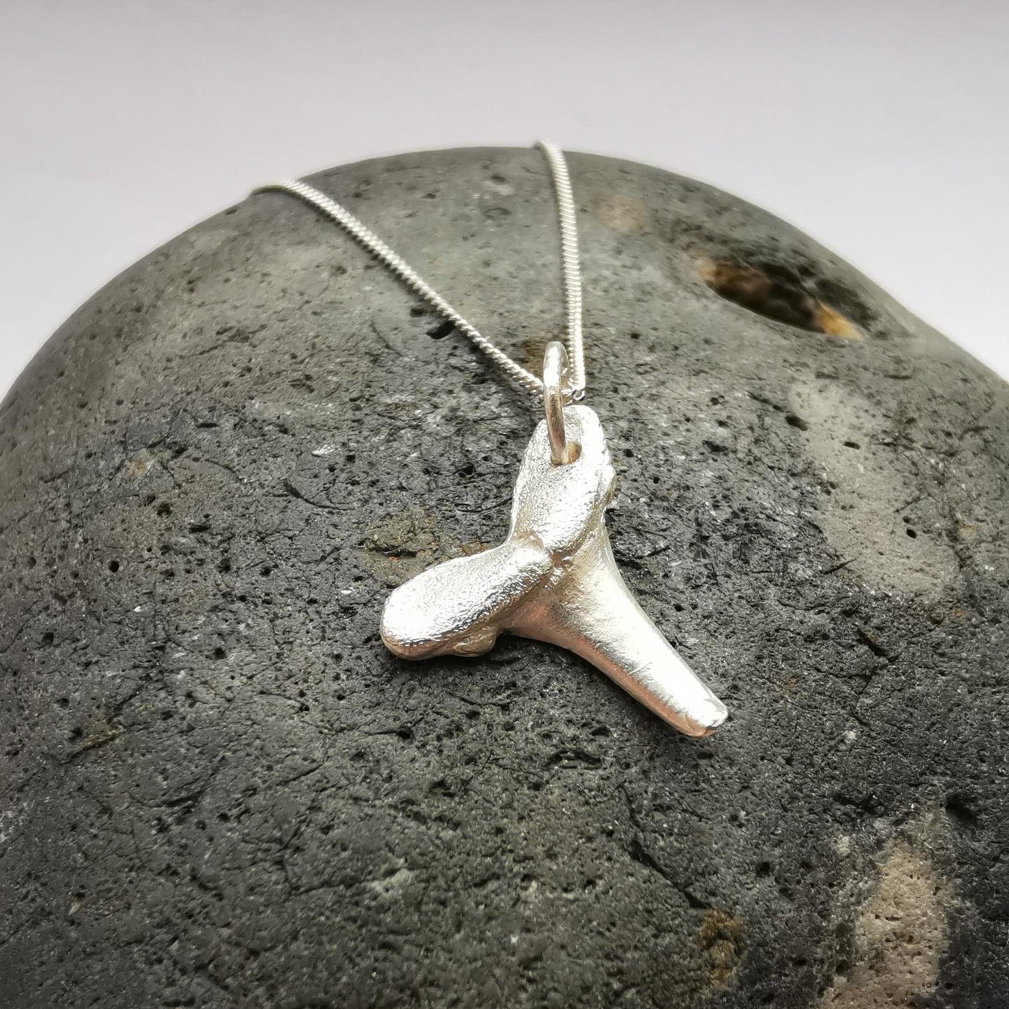 Real Shark Tooth Fossil Cast in Fine Silver - Not Lost Jewellery