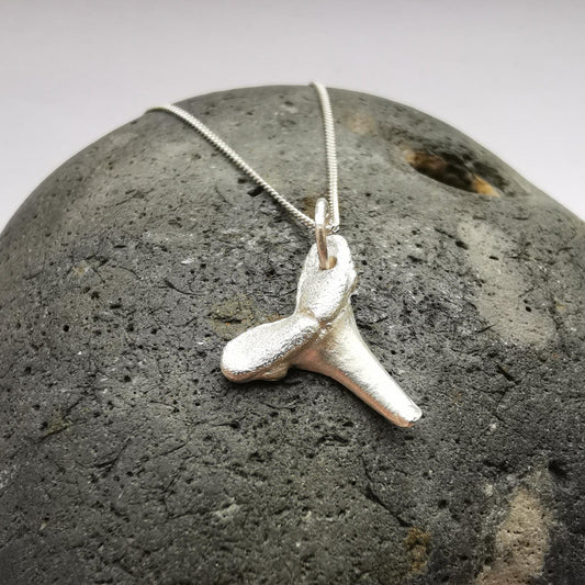 Real Shark Tooth Fossil Cast in Fine Silver - Not Lost Jewellery