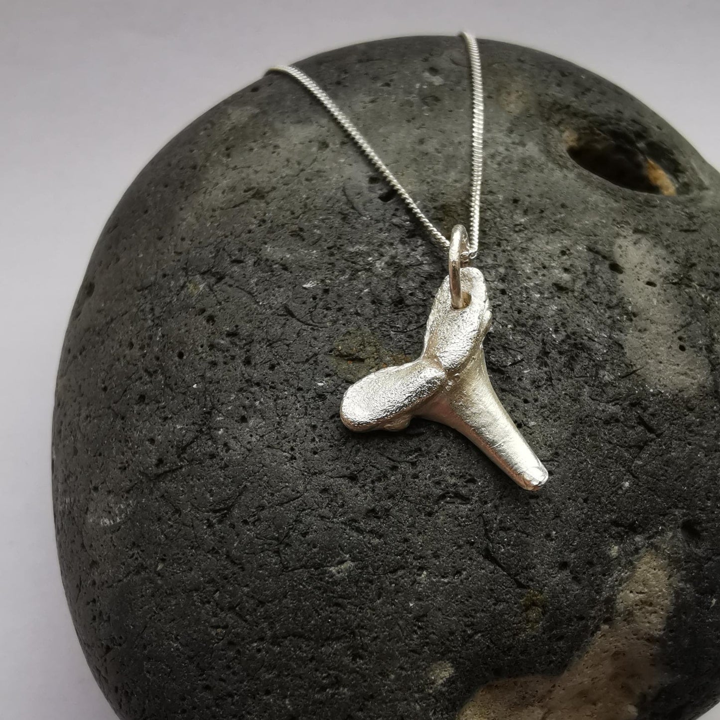 Real Shark Tooth Fossil Cast in Fine Silver - Not Lost Jewellery