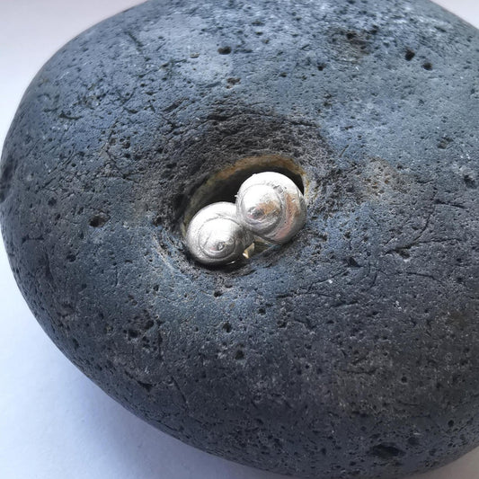 Sea Snail Shell Studs - Not Lost Jewellery