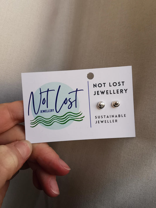 Sea Snail Shell Studs - Not Lost Jewellery