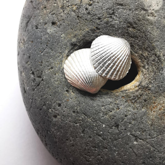 Silver Shell Stud Earrings - Not Lost Jewellery