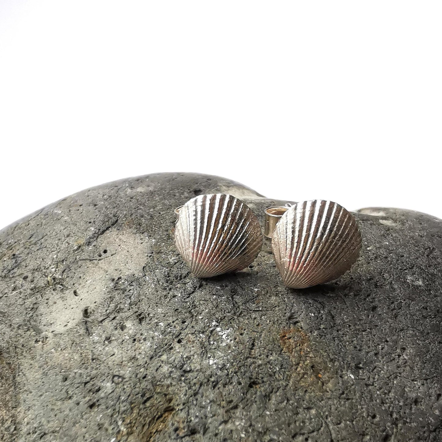 Silver Shell Stud Earrings - Not Lost Jewellery