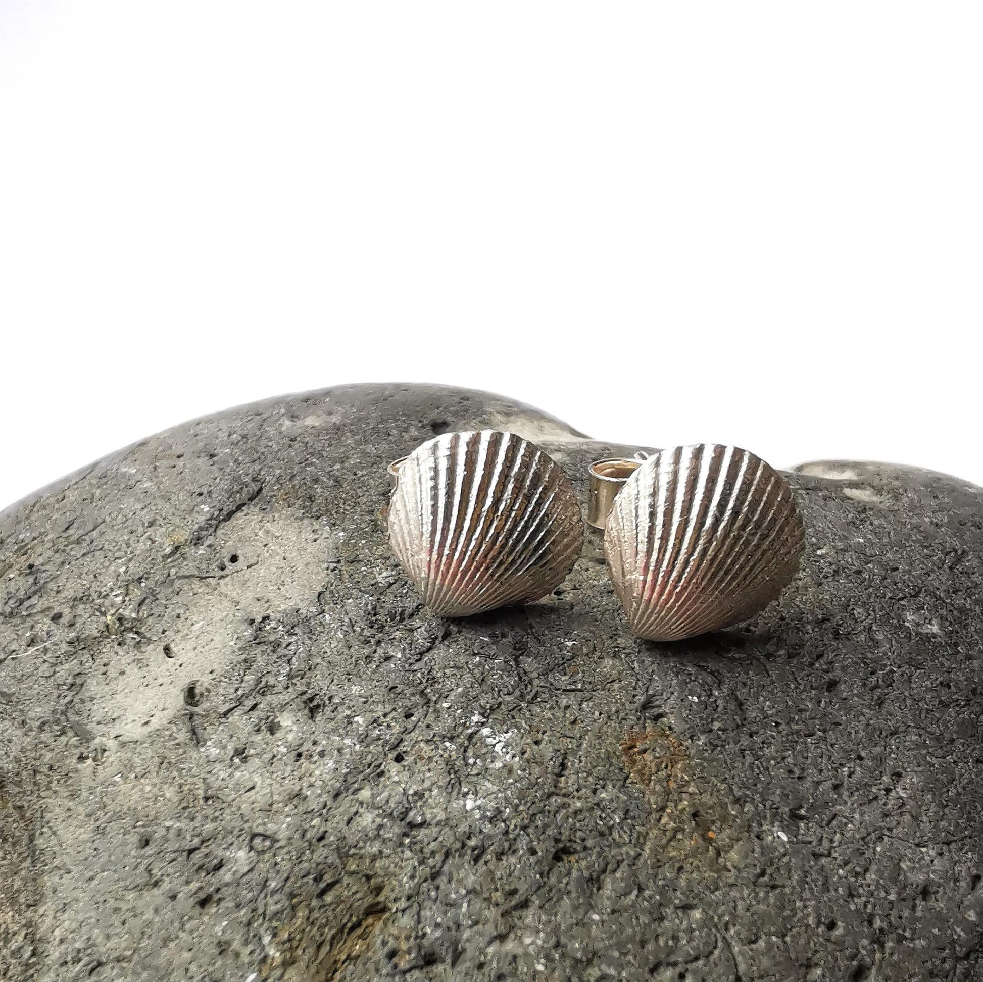 Silver Shell Stud Earrings - Not Lost Jewellery