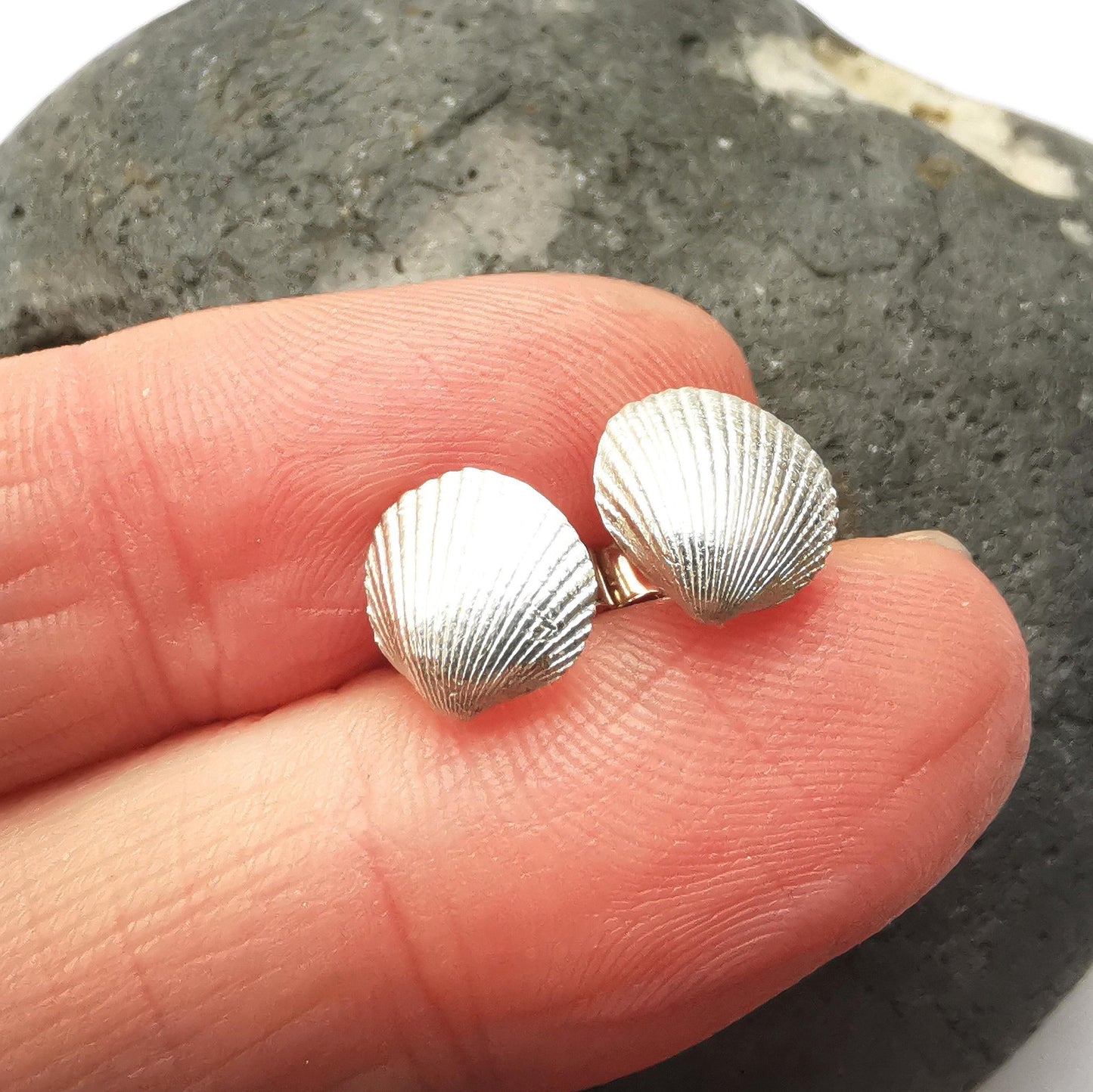 Silver Shell Stud Earrings - Not Lost Jewellery