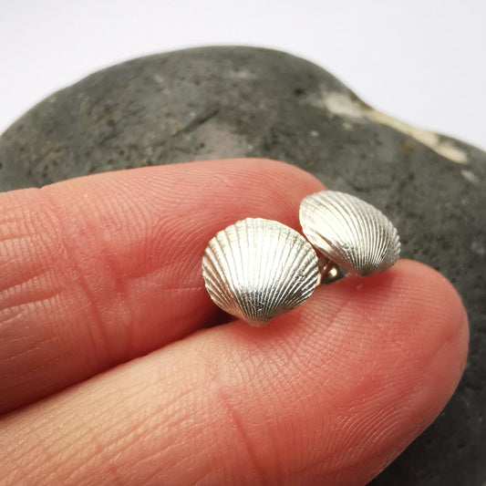 Silver Shell Stud Earrings - Not Lost Jewellery