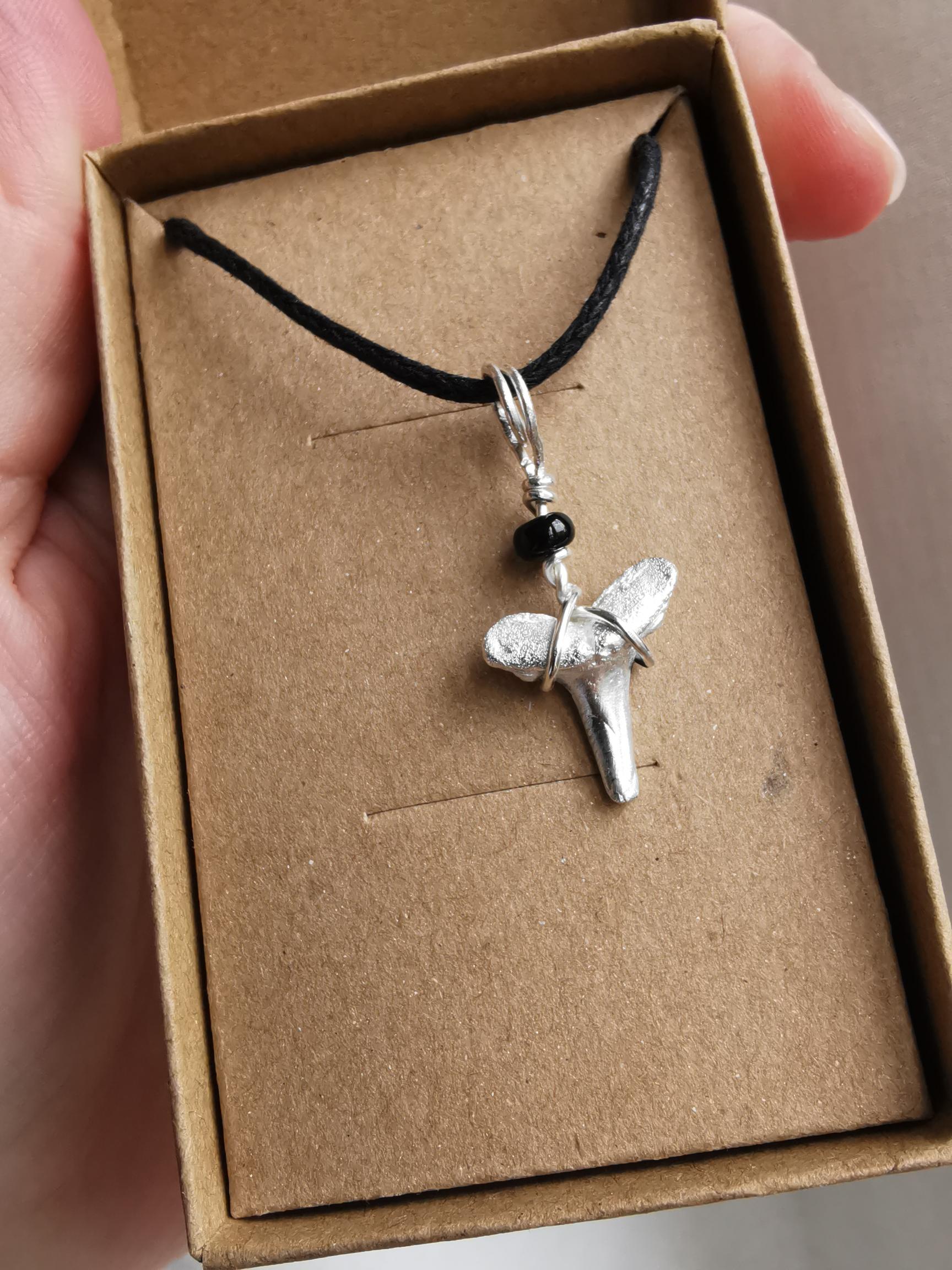 The OG Sharks Tooth Necklace - Real Shark Tooth Fossil Cast in Fine Silver - Not Lost Jewellery