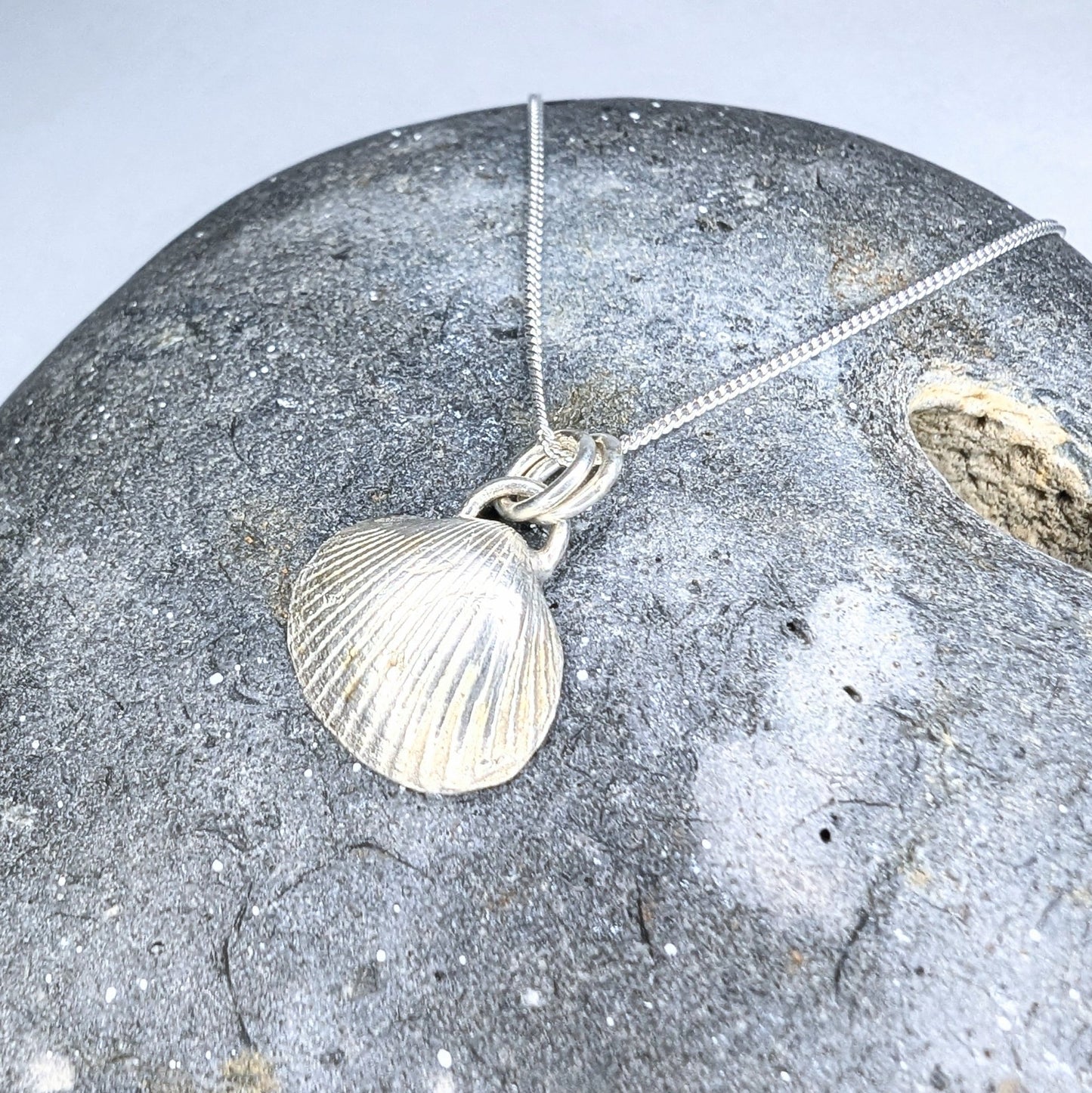 Double Sided Seashell Pendant Necklace - Not Lost Jewellery