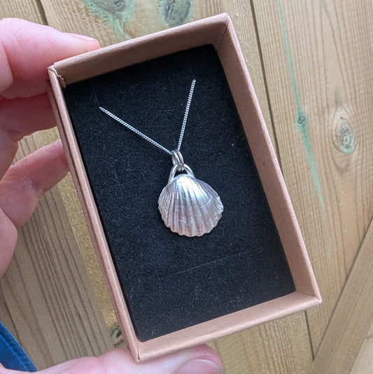 Fine Silver Real Sea Shell Pendant Necklace - Not Lost Jewellery