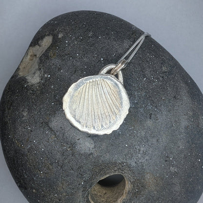 Fine Silver Real Sea Shell Pendant Necklace - Not Lost Jewellery