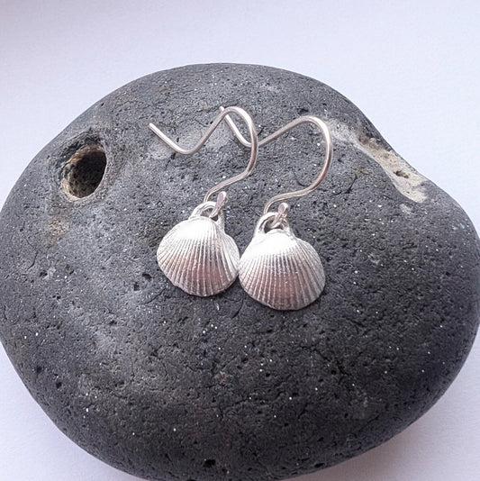 Fine Silver Sea Shell Dangle Hook Earrings - Not Lost Jewellery