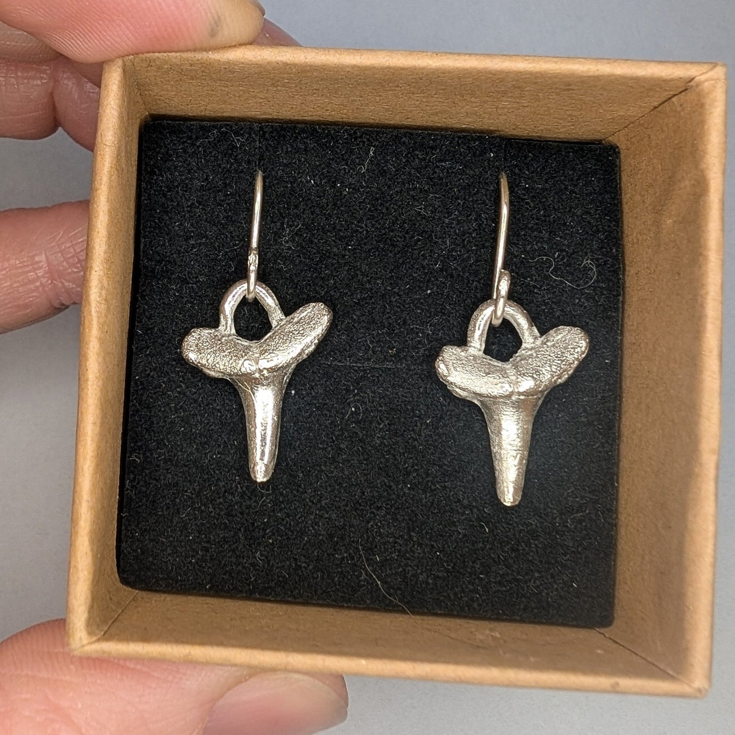 Fine Silver Shark Tooth Dangle Hook Earrings - Not Lost Jewellery
