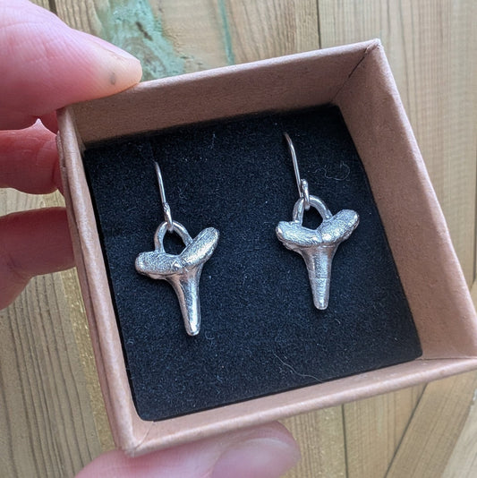 Fine Silver Shark Tooth Dangle Hook Earrings - Not Lost Jewellery