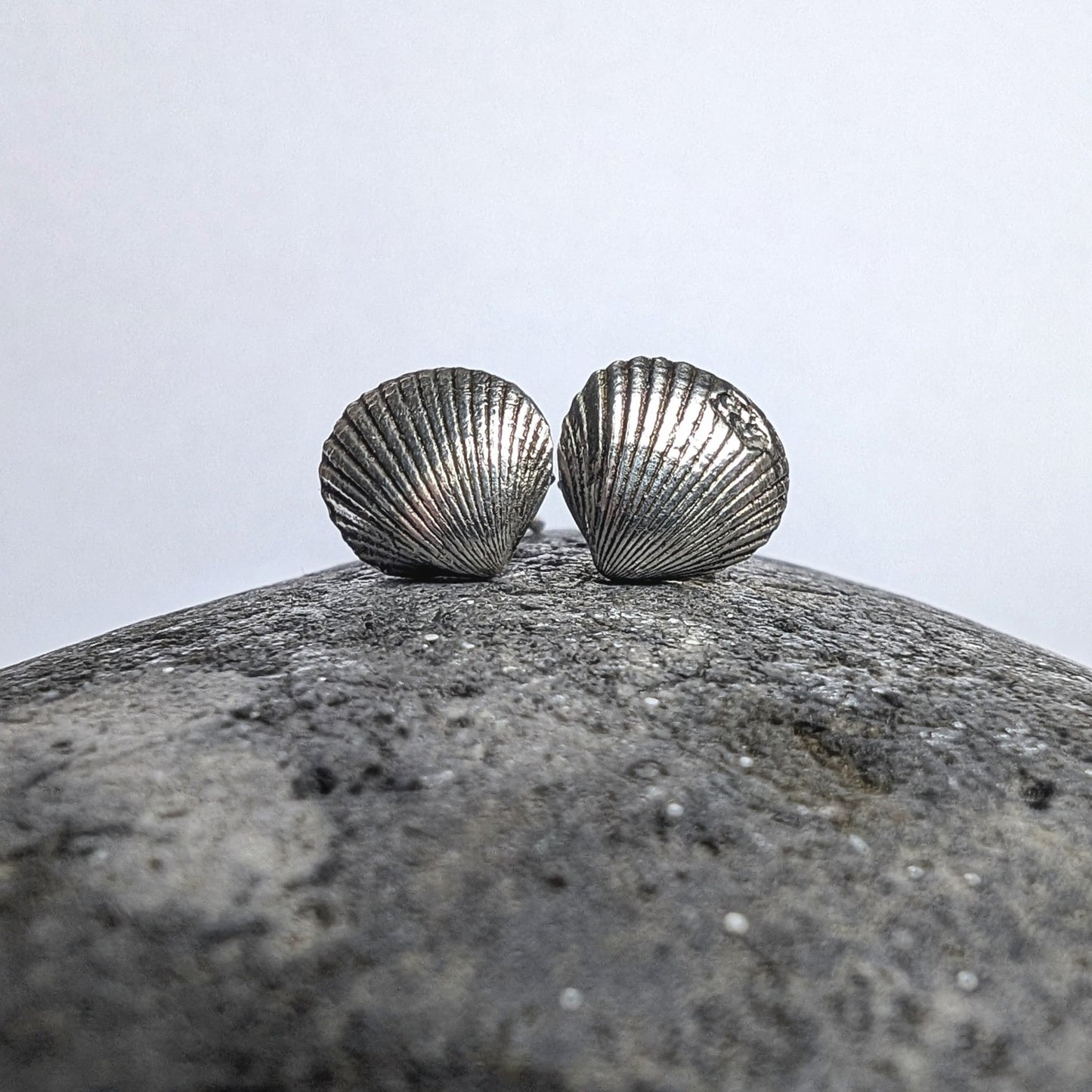 Oxidised Silver Shell Stud Earrings - Not Lost Jewellery