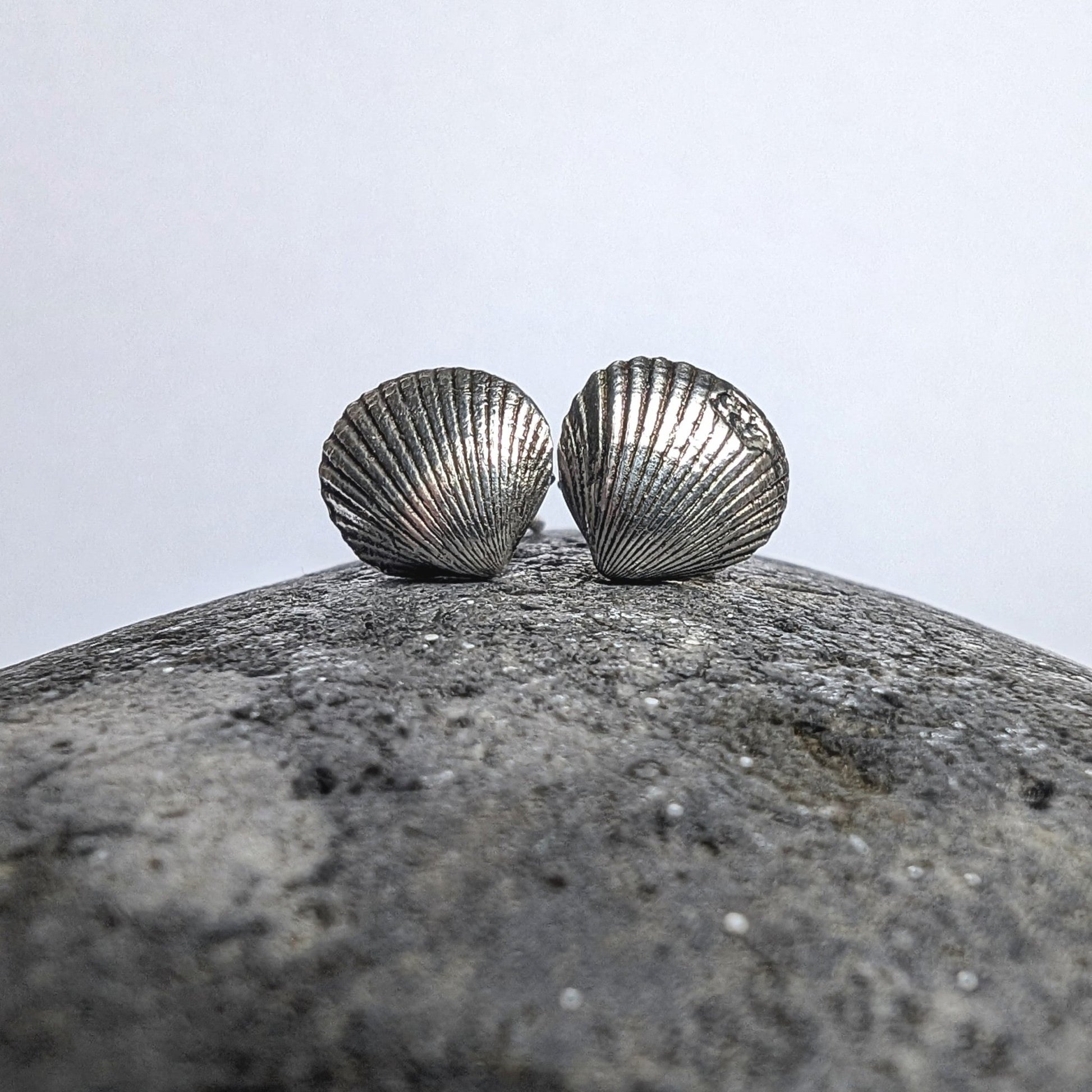 Oxidised Silver Shell Stud Earrings - Not Lost Jewellery