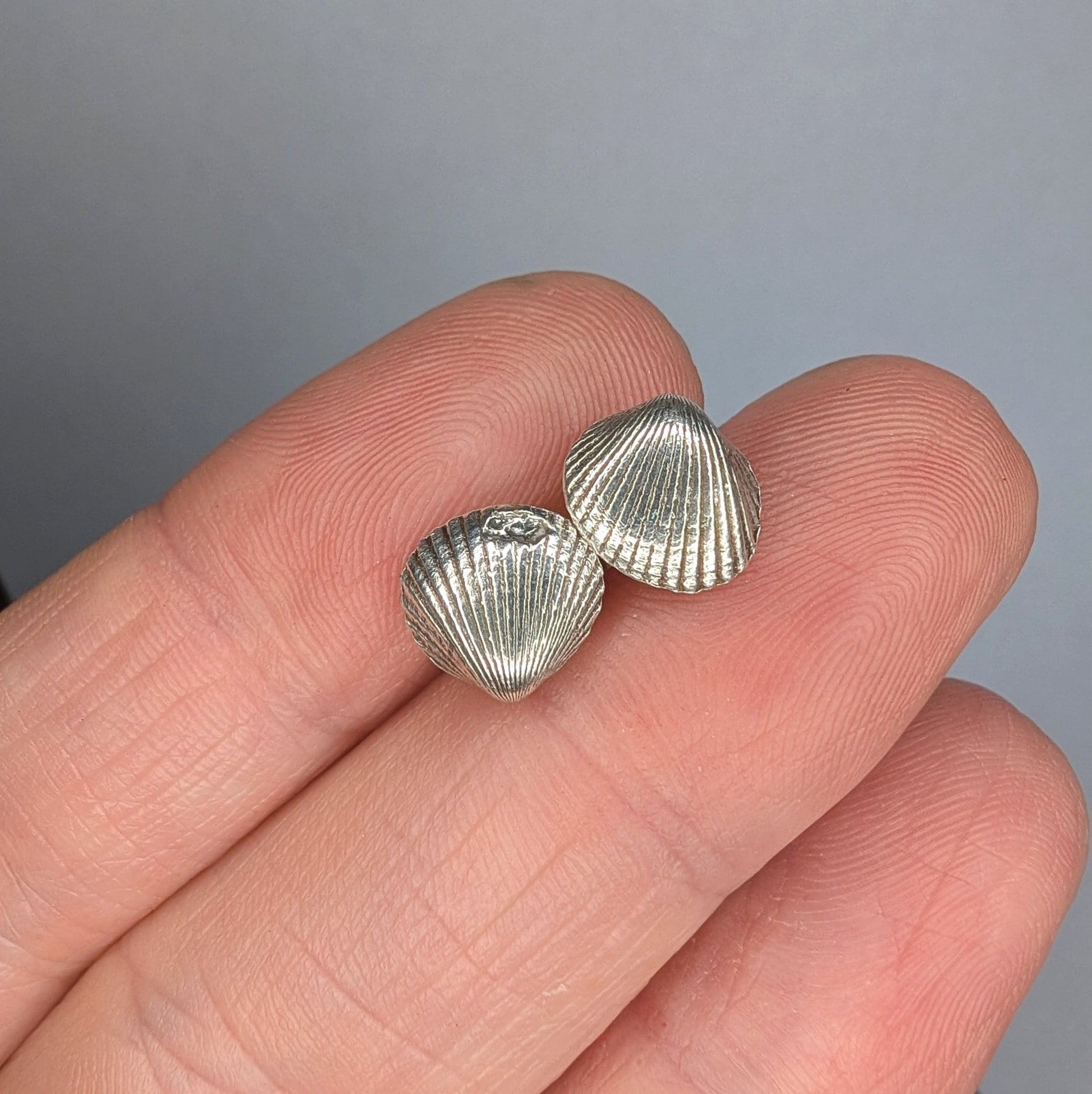 Oxidised Silver Shell Stud Earrings - Not Lost Jewellery