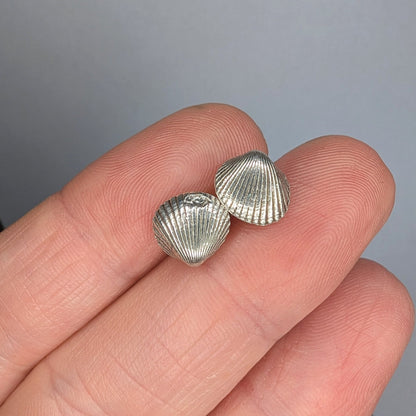 Oxidised Silver Shell Stud Earrings - Not Lost Jewellery