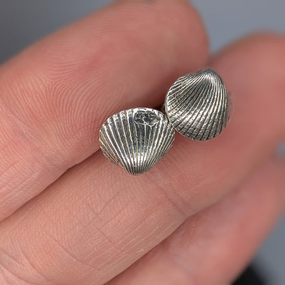 Oxidised Silver Shell Stud Earrings - Not Lost Jewellery