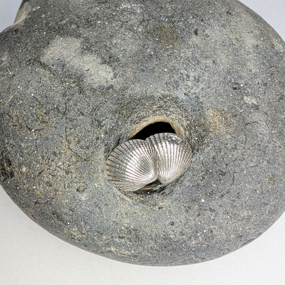 Oxidised Silver Shell Stud Earrings - Not Lost Jewellery