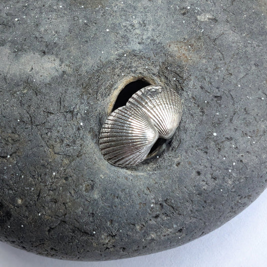 Oxidised Silver Shell Stud Earrings - Not Lost Jewellery