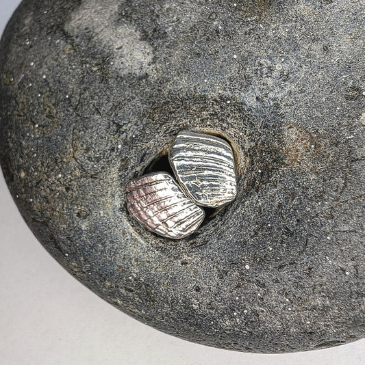 Seconds Shell Fragment Silver Stud Earrings - Not Lost Jewellery