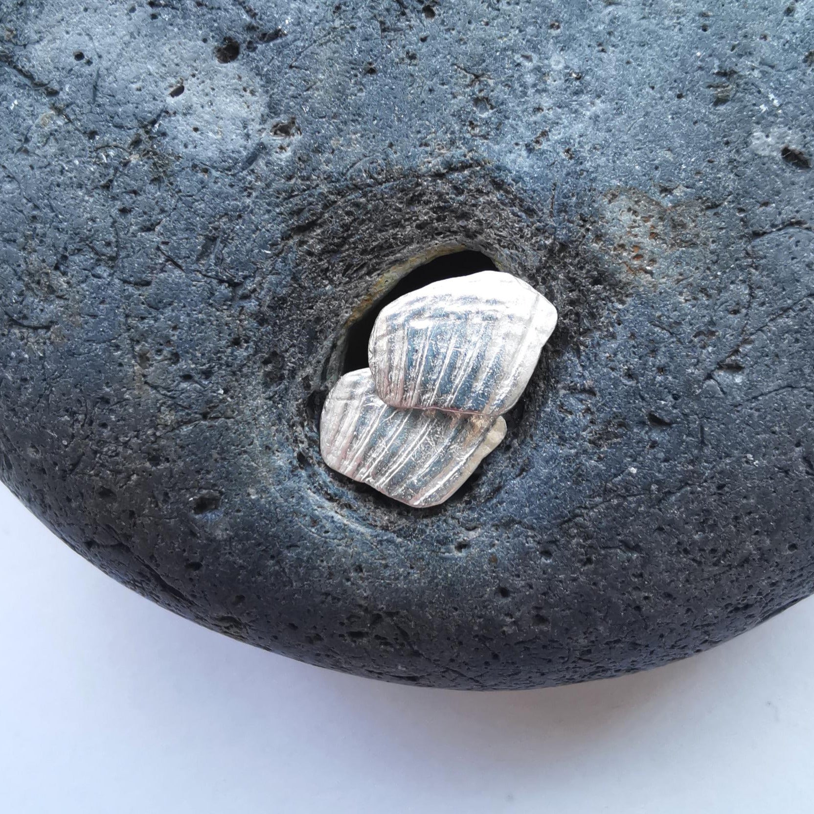 Shell Backed Shell Fragment Studs - Not Lost Jewellery